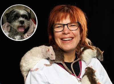 Dierenarts na mogelijke wolvenbeet bij hondje Pip op Veluwe: ‘Kans op beet door andere hond of zwijn