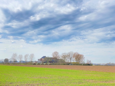 Zeelandsche Hof wordt een luxe woonerf, maar voorlopig moet Joep (71) blijven boeren