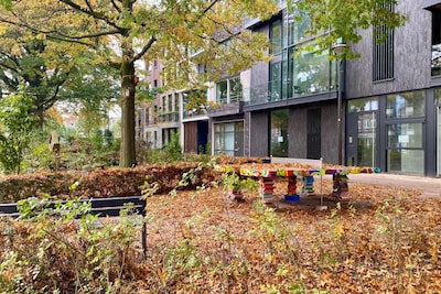 Blaadjes vallen van de bomen: dit doet gemeente Arnhem eraan