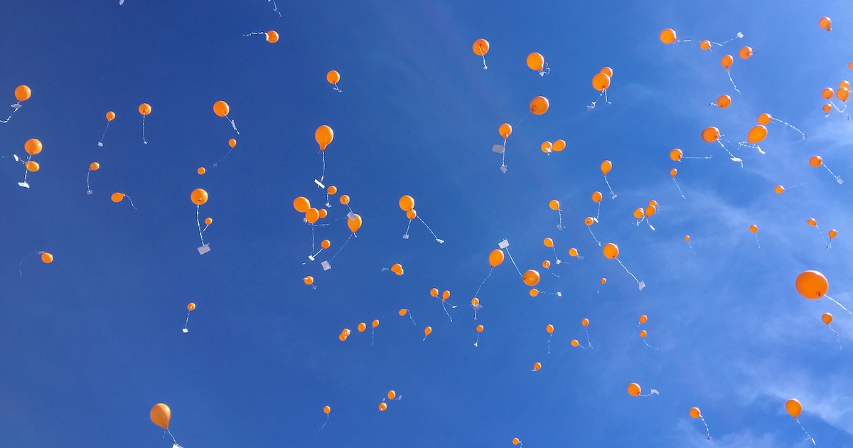 Koningsdag met vernieuwd programma in Someren-Dorp