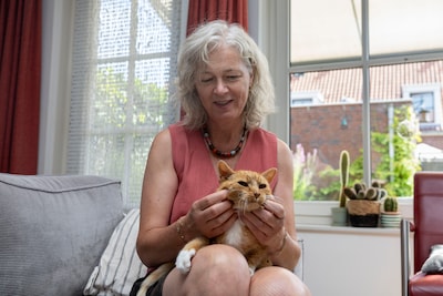 Image related to the article