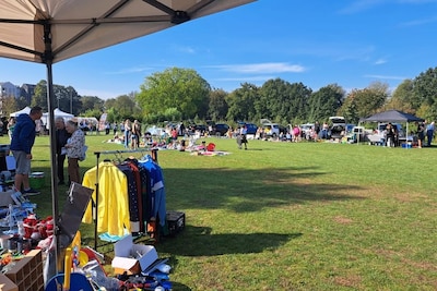 Snuffelen, scoren en suikerspinnen: op dit grote grasveld is binnenkort een wijkmarkt