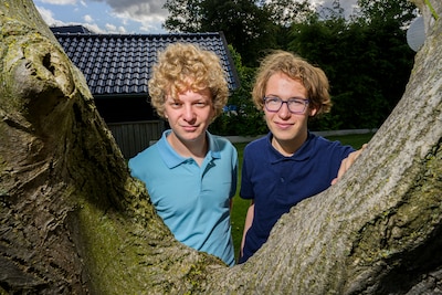 Image related to the article