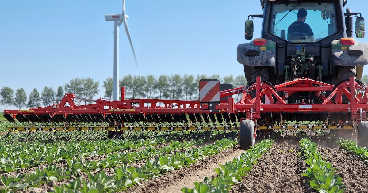 Proeftuin Van Pallandtpolder krijgt vervolg in Goeree-Overflakkee