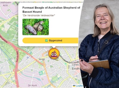 Hondenpoep met de droldetector te lijf