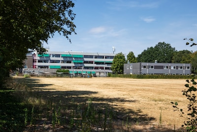 Image related to the article