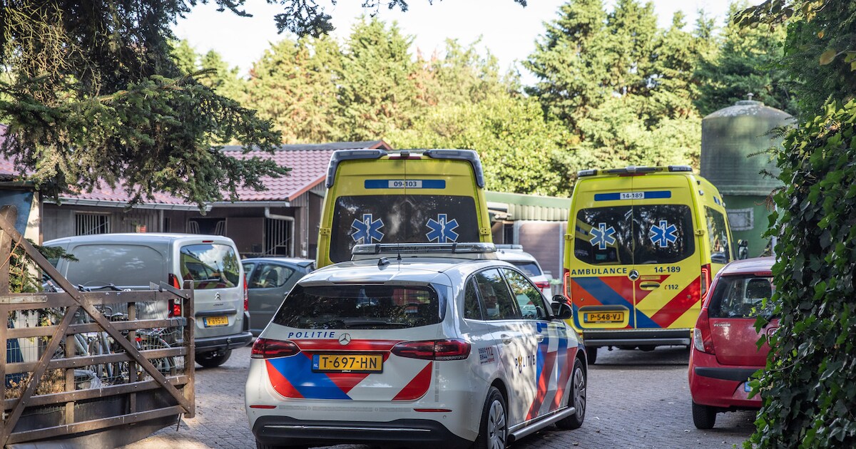 Hulpdiensten rukken uit voor meisje (11) na val van pony in Maartensdijk