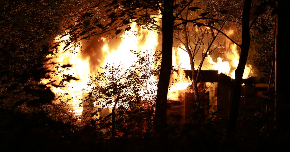 Bouwkeet volledig uitgebrand bij brand op terrein van imker in Delft