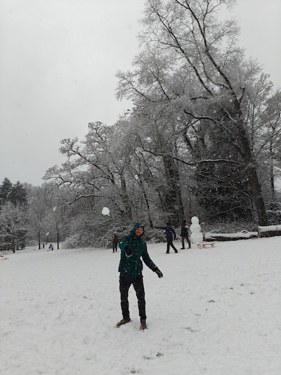 Sneeuwpoppen in alle maten soorten en maten