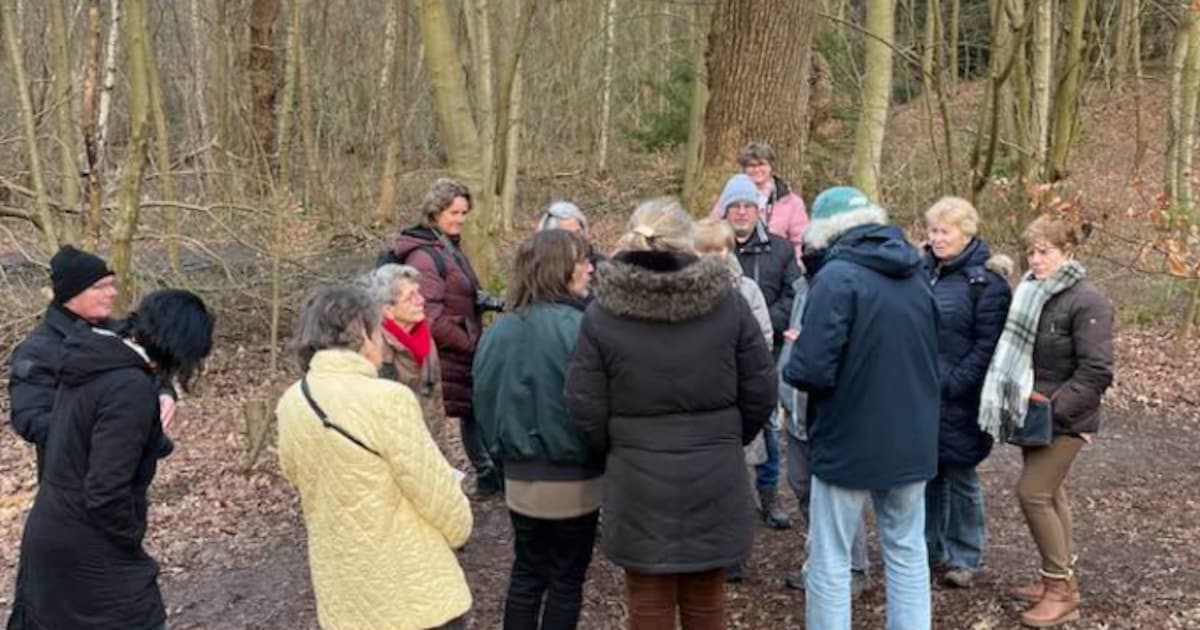 Natuurexperts leiden zondag lentewandeling op Landgoed Keukenhof in Lisse