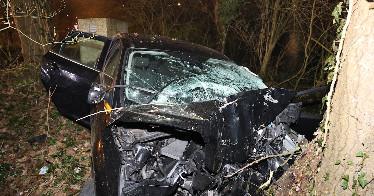 Bestuurder naar ziekenhuis na botsing tegen boom in Leiden