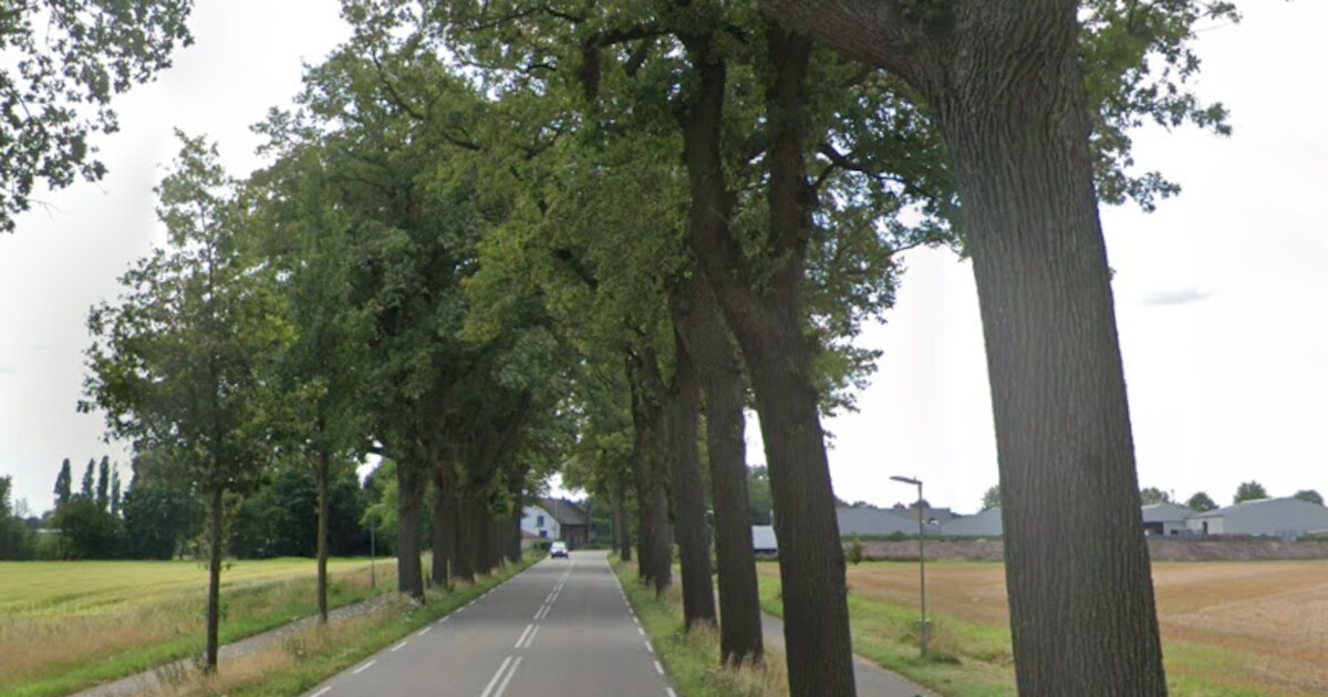 Horst aan de Maas presenteert definitieve ontwerp herinrichting N554 in Tienray en Meerlo