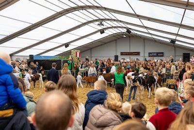 Koeiemart en Nacht van Woerden 2026: alle info op een rij