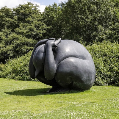 Grote ‘angsthaas’ blijft permanent in Flevopark en wordt daarmee ‘officieel deel van de stad’