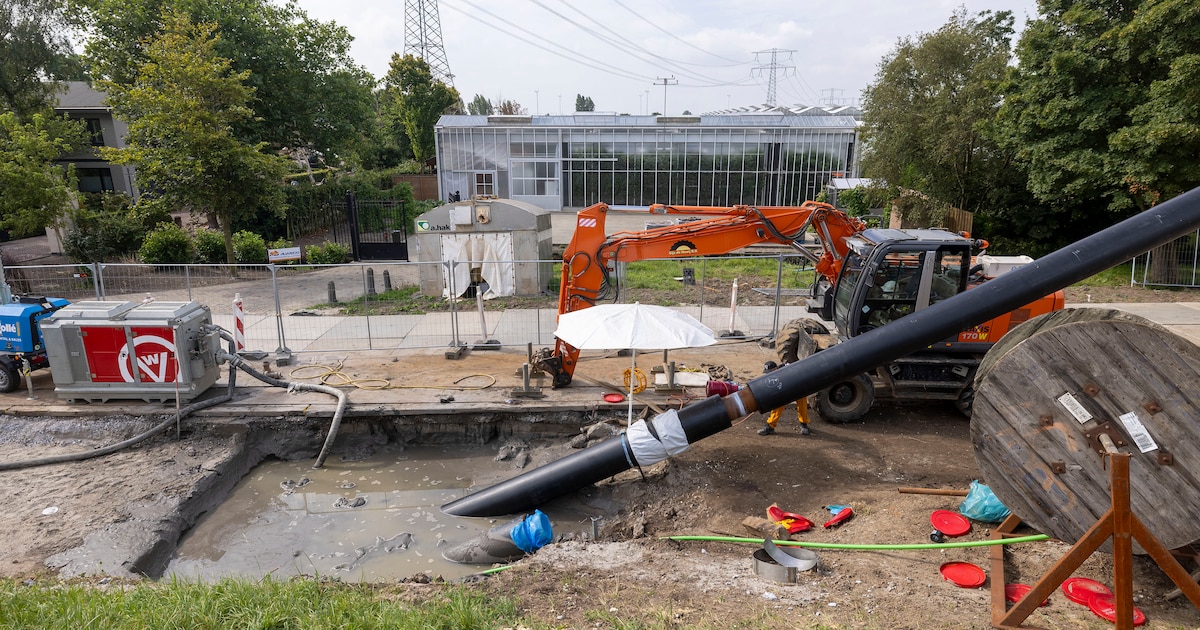 Westland van het gas af: ‘Na Monster komen Naaldwijk en ‘s-Gravenzande aan de beurt’