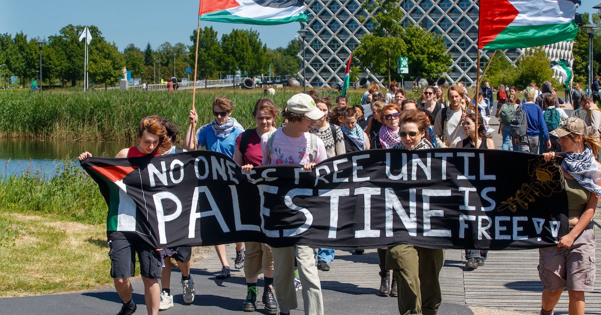 Palestijnse studenten onderweg naar Wageningen: ‘Het belangrijkste is dat zij hier letterlijk en fig