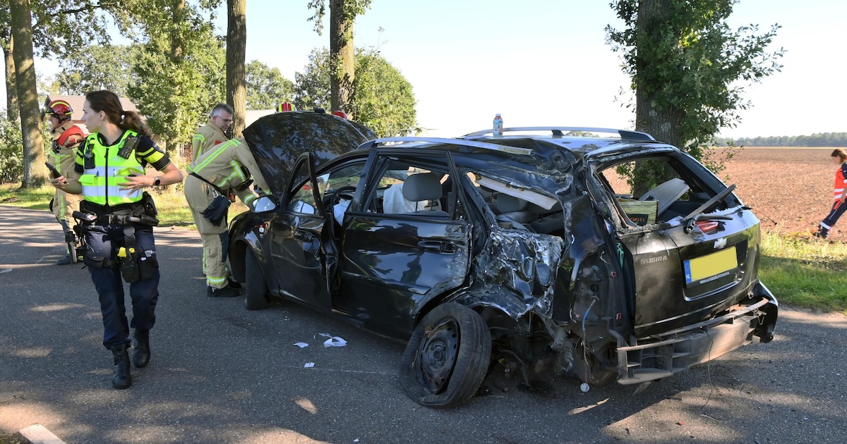 Jonge bestuurder raakt zwaargewond bij ongeval in Hooge Mierde, auto botst tegen boom