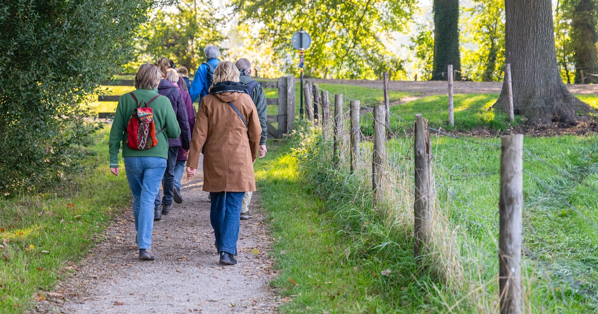 Taalwandelen in Maarssenbroek en Breukelen: oefen op een laagdrempelige manier de Nederlandse taal
