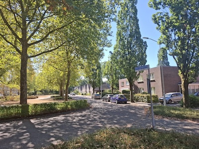 Image related to the article
