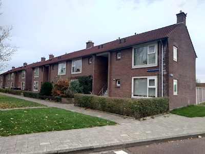 Image related to the article