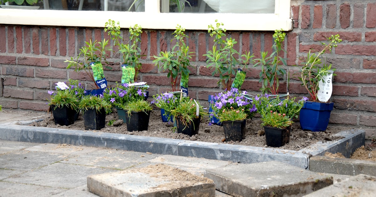 Tegelactie en plantenruilbeurs bij Stadstuin Rusthout in Leidschendam