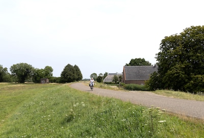 Waarom 18 kilometer dijk tussen Westervoort en Rha op de schop moet, en wie dat gaat betalen