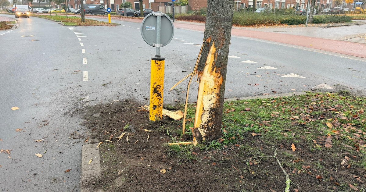 Automobilist vliegt uit de bocht in Uden, auto komt tegen boom tot stilstand