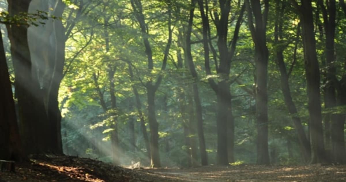 Cultuurhistorische wandeling op landgoed Hoekelum