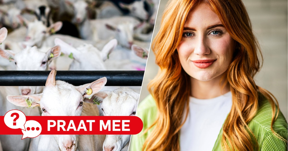 Heb jij vaker longklachten door de geitenhouderij aan het Noordeinde in Waddinxveen?