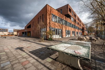 Image related to the article