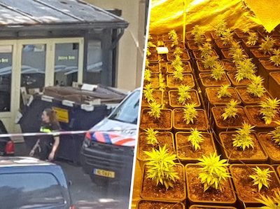 Drugsbende moet zeven jaar na arrestatie 600.000 euro terugbetalen aan de staat