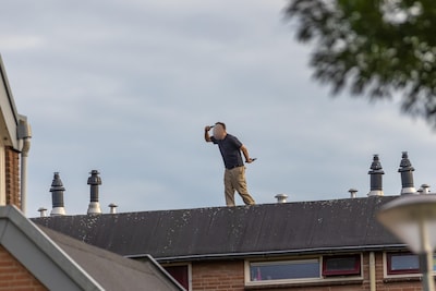 Image related to the article