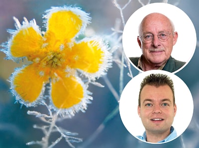 Eerste vorst is een feit: dit moet je weten over gladheid en het beschermen van je planten