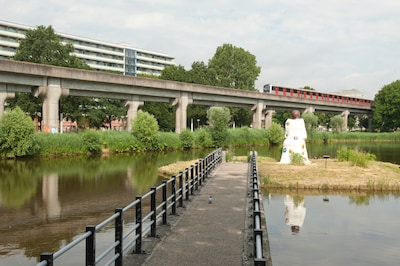 Image related to the article