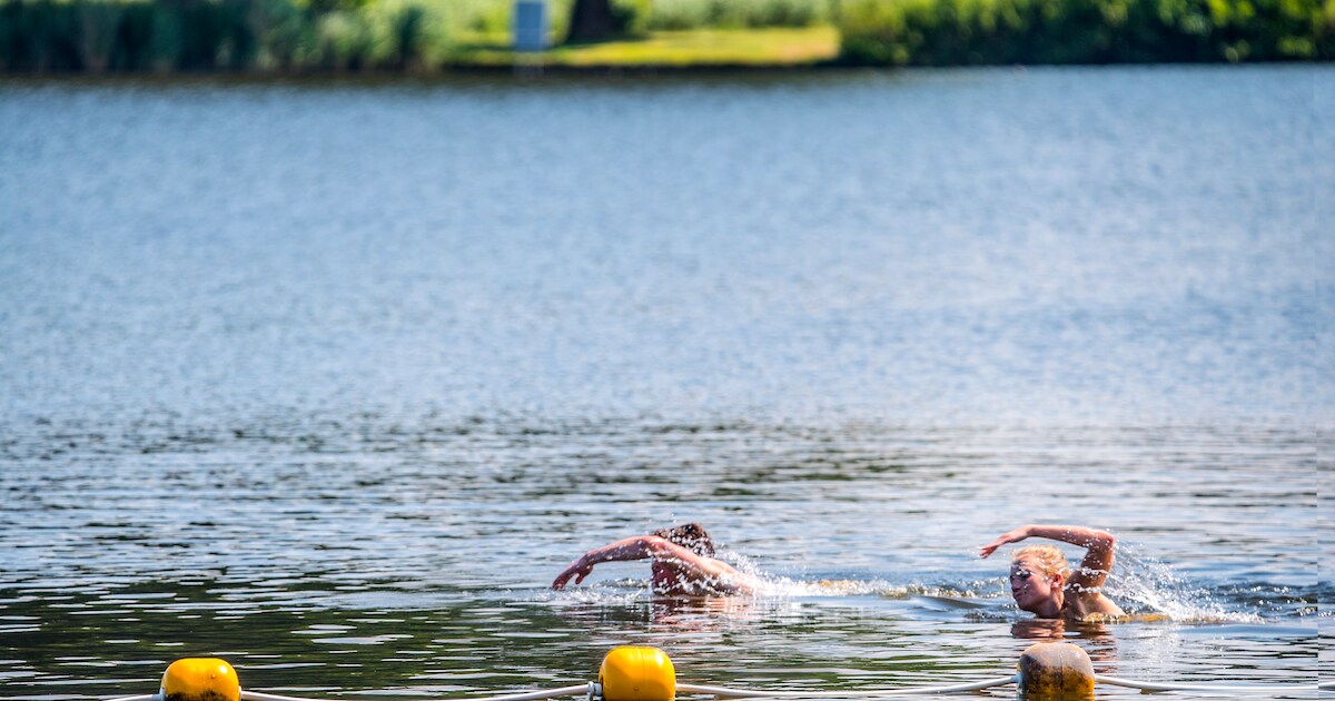Toch weer blauwalg in Delftse Hout, ondanks maatregelen