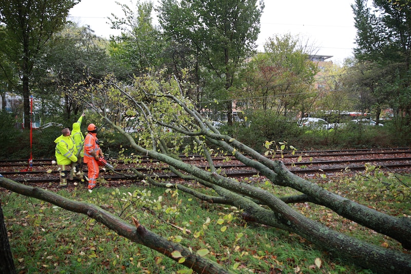 Op de kruising van de Melis Stokelaan en de Beresteinlaan is tijdens de storm een boom op de bovenleiding terechtgekomen.