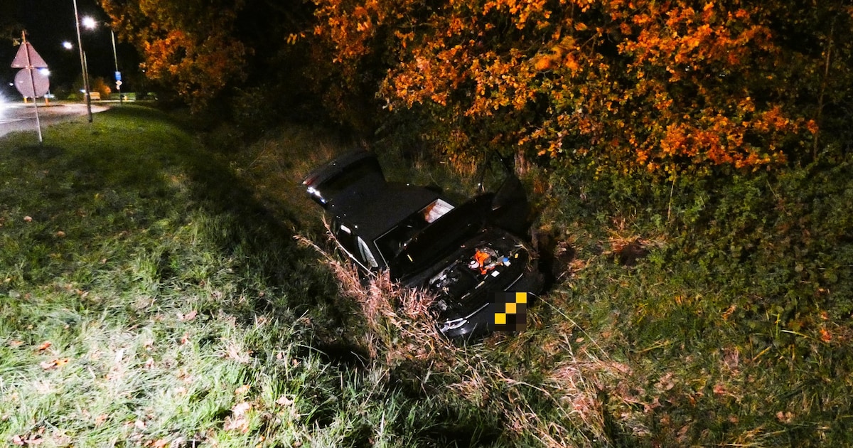 Automobilist belandt in greppel langs de Domoweg in Beilen