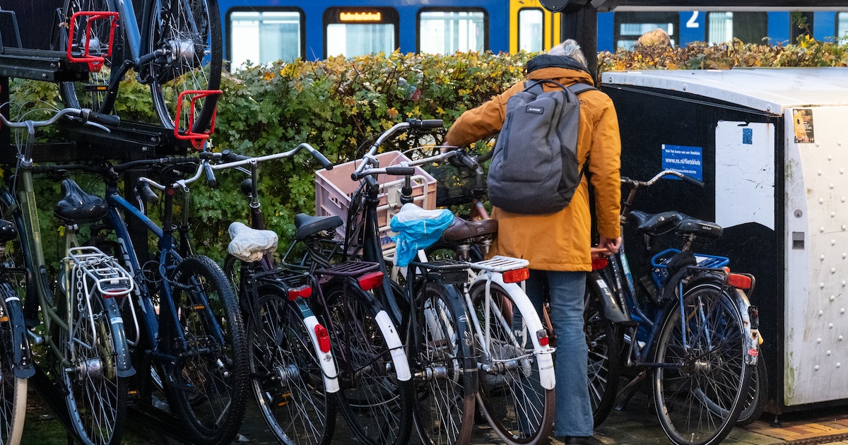 Handhavers knippen massaal fietsen weg bij station Amersfoort-Vathorst: ‘Om half 9 is het al vol’