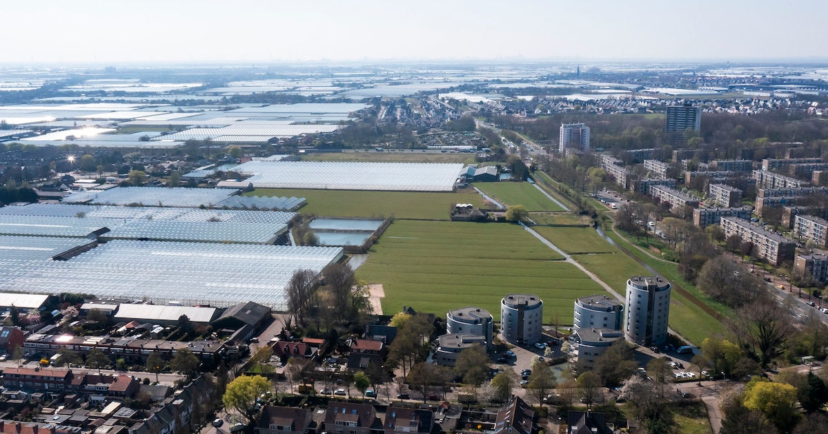 Bouw ruim duizend woningen in Wateringen-Noord eindelijk in zicht: ‘Het is echt een huzarenstukje’