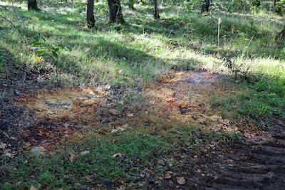 Drugsafval gedumpt in Valkenswaard: zure damp stijgt op vanaf vergeeld gras, bodem moet gereinigd wo