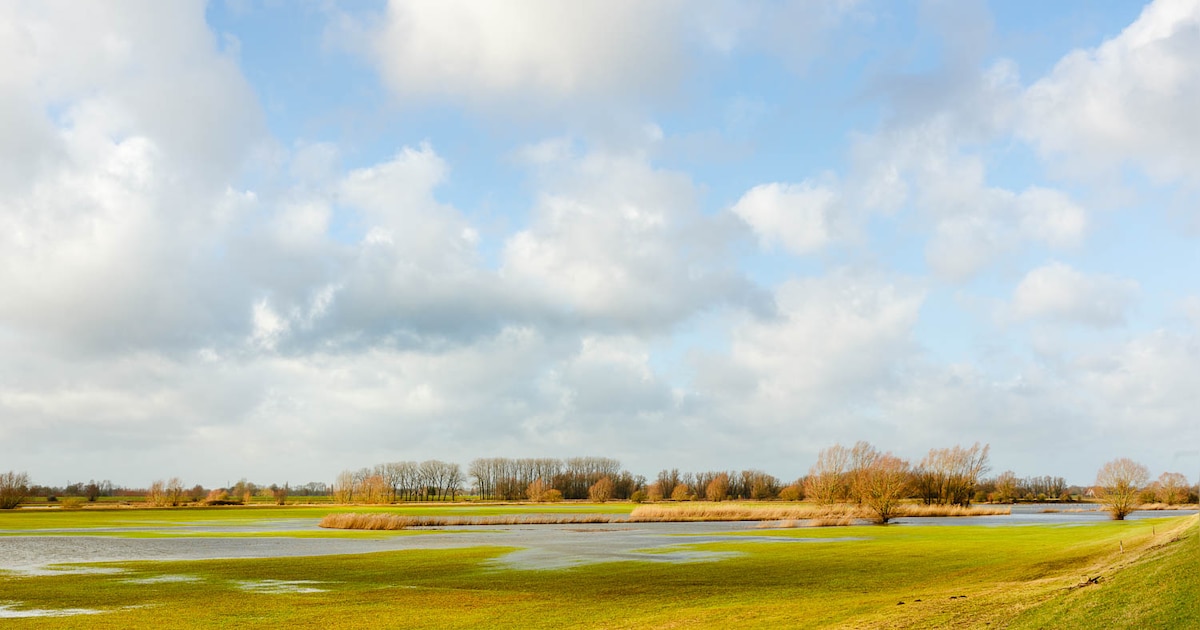 Fotografen en schilder schetsen beeld van de lucht in nieuwe expositie in Olst