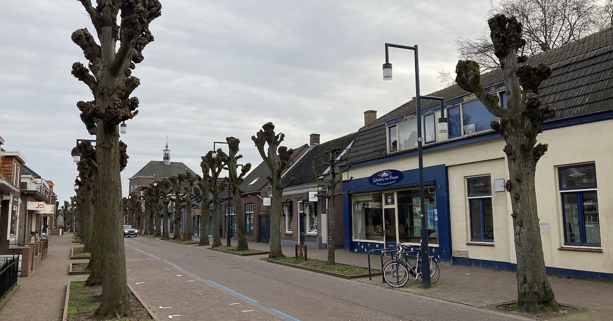 Parkeerverbod in Marktstraat Made voor groenonderhoud