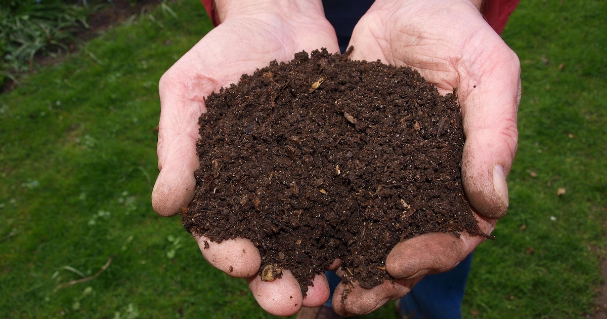 Inwoners Borger-Odoorn halen gratis compost op op 28 maart
