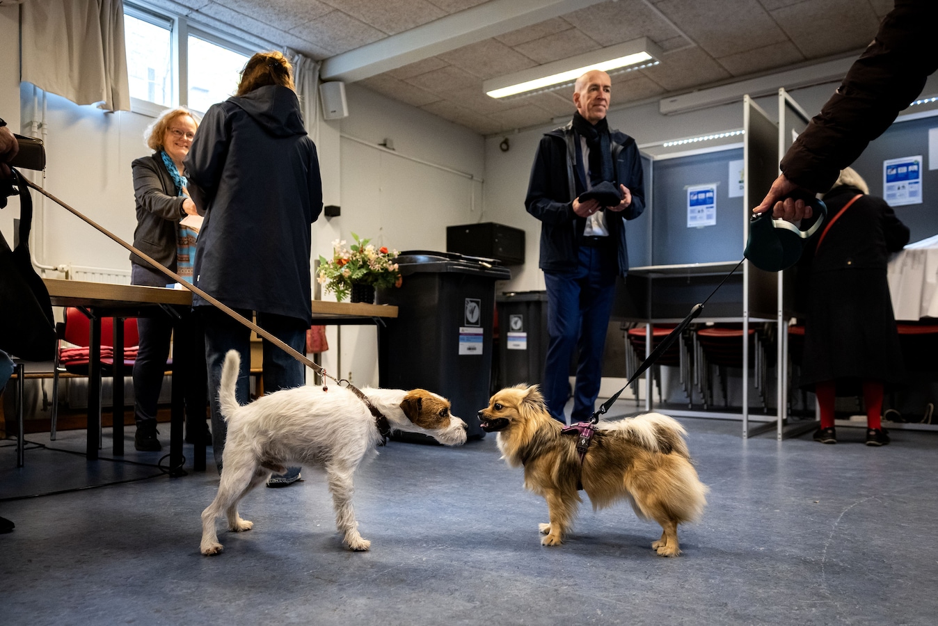 zo-stemde-echt-susteren-in-dit-deel-van-de-gemeente-haalde-de-pvv-40
