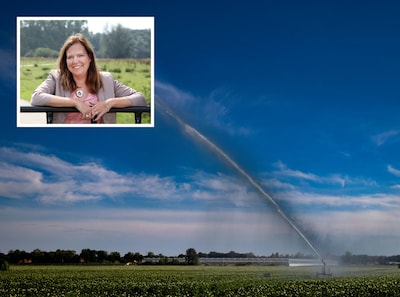 Image related to the article