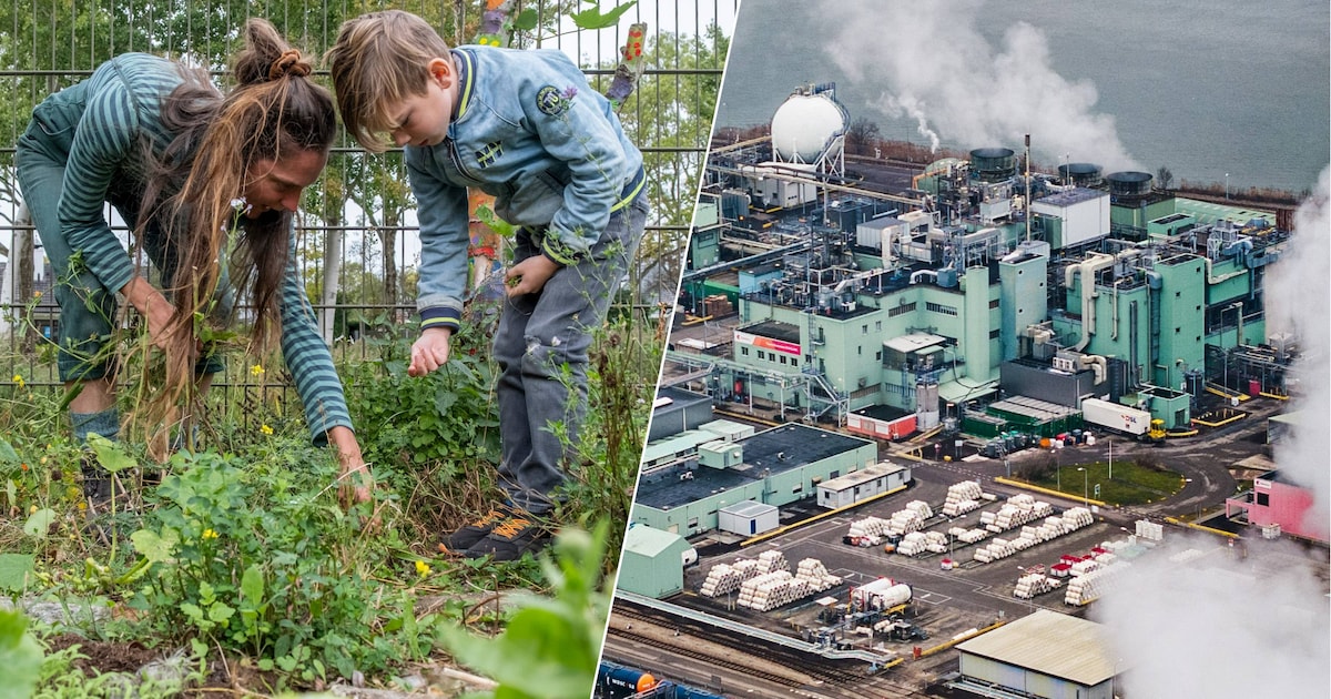 PFAS in slootwater: besmet gebied groter en gevaarlijker dan gedacht