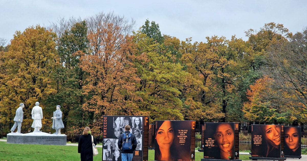 Buitenexpositie Femicide op het Raadhuisplein in Wervershoof