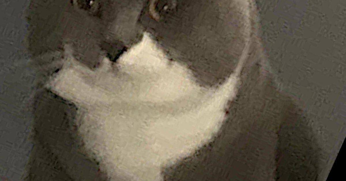 Heb jij Milo of Charlie gezien? Deze twee huisdieren worden in Rhenen vermist | Foto