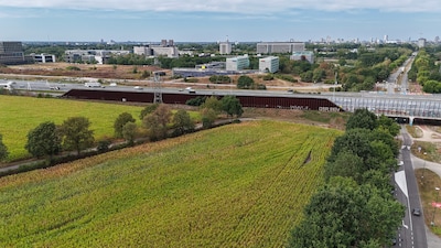Image related to the article