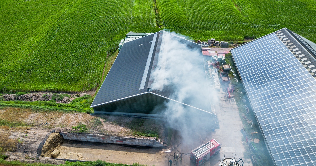 Brand bij agrarisch bedrijf Elsloo